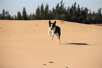 Epic 宣布 将关闭部分旧游戏在线服务及服务器